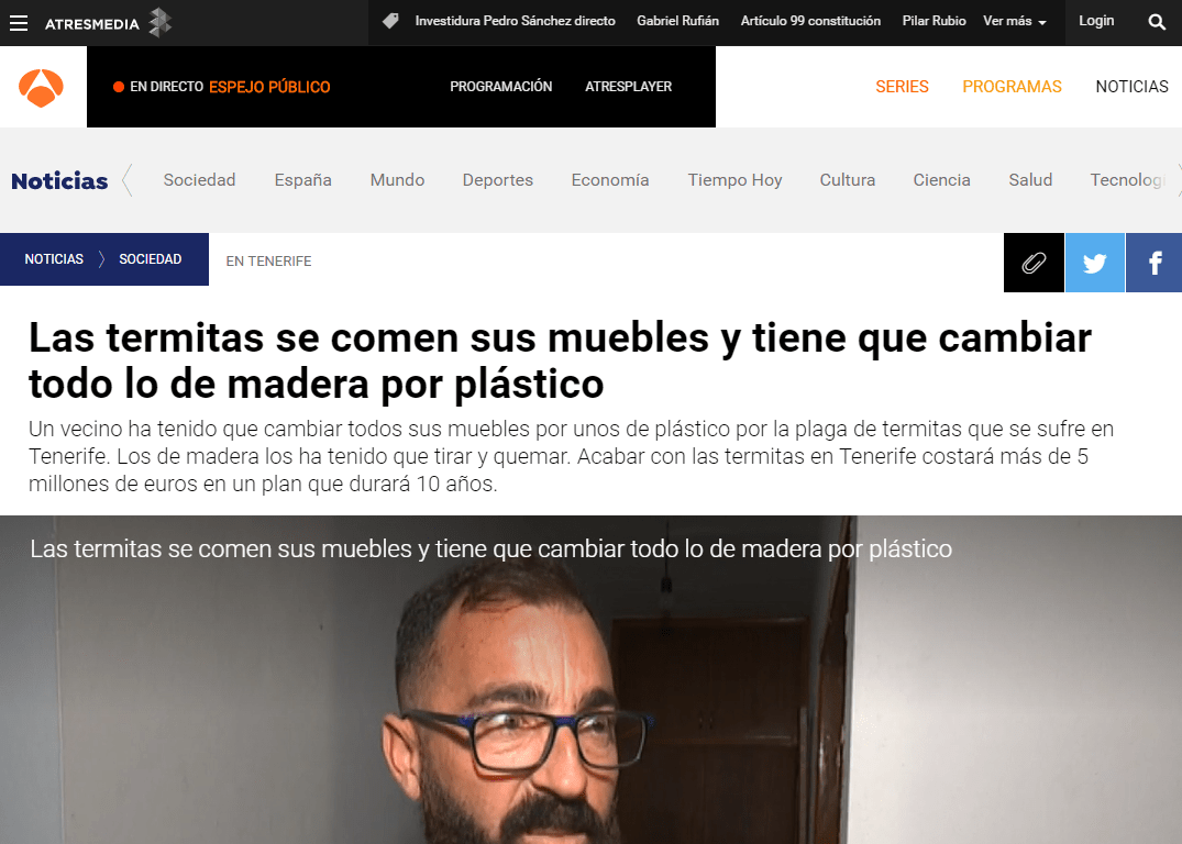 problemas por termitas